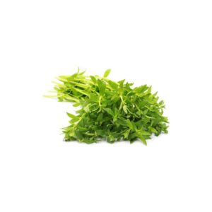 Frischer Kagang / Reisfeld Kraut für asiatische Gerichte im Online-Shop.