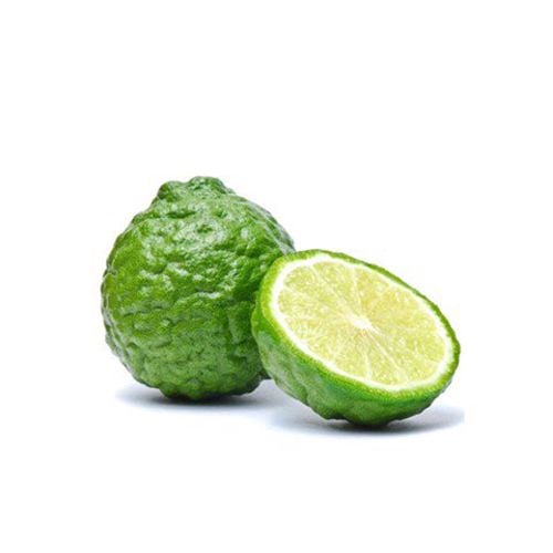 Kaffir Limette, asiatisches Gewürz, frische Limette, Online-Shop.