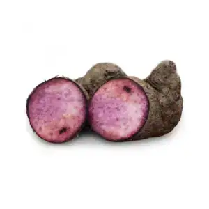 Süßkartoffel, asiatische Lebensmittel Online-Shop.