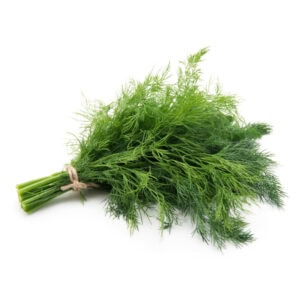Frischer asiatischer Dill für asiatische Gerichte | Asiatischer Lebensmittel Online-Shop.