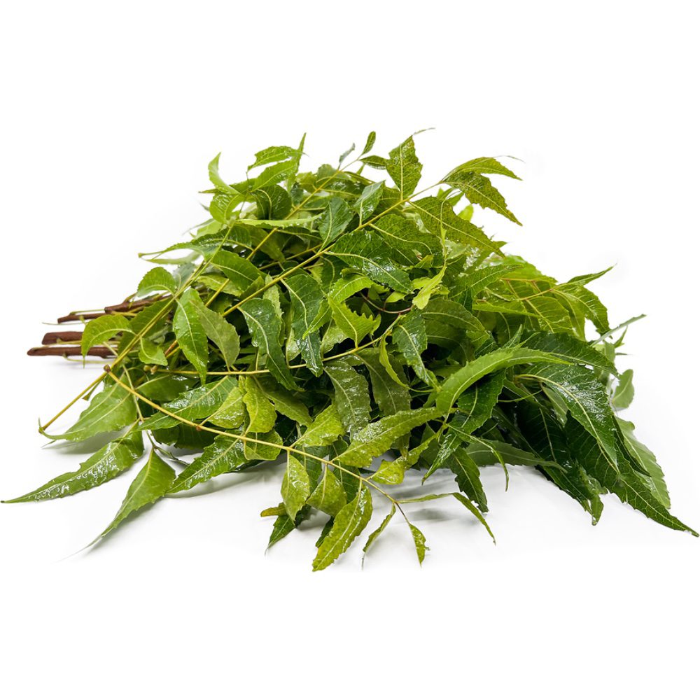 Frische Neem Blätter für asiatische Gerichte im Online-Shop.