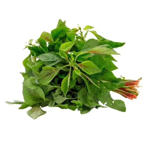 Frische Thai-Amaranth-Blätter für asiatische Gerichte.
