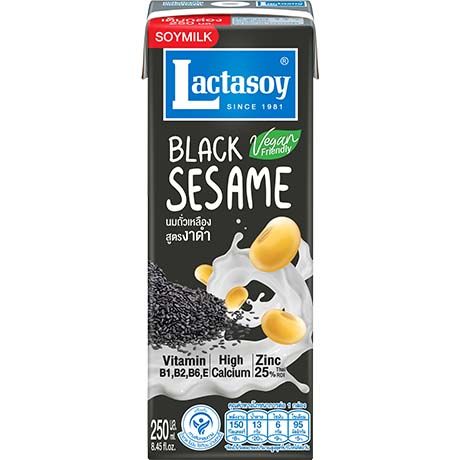 Asiatischer Lebensmittelladen - Sojamilch mit schwarzem Sesam, vegan, 250ml.