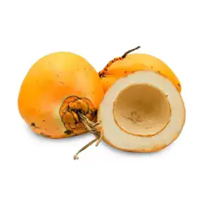 KING COCONUT Kokosnuss aus Asien, ca. 1,2kg, frische tropische Frucht.