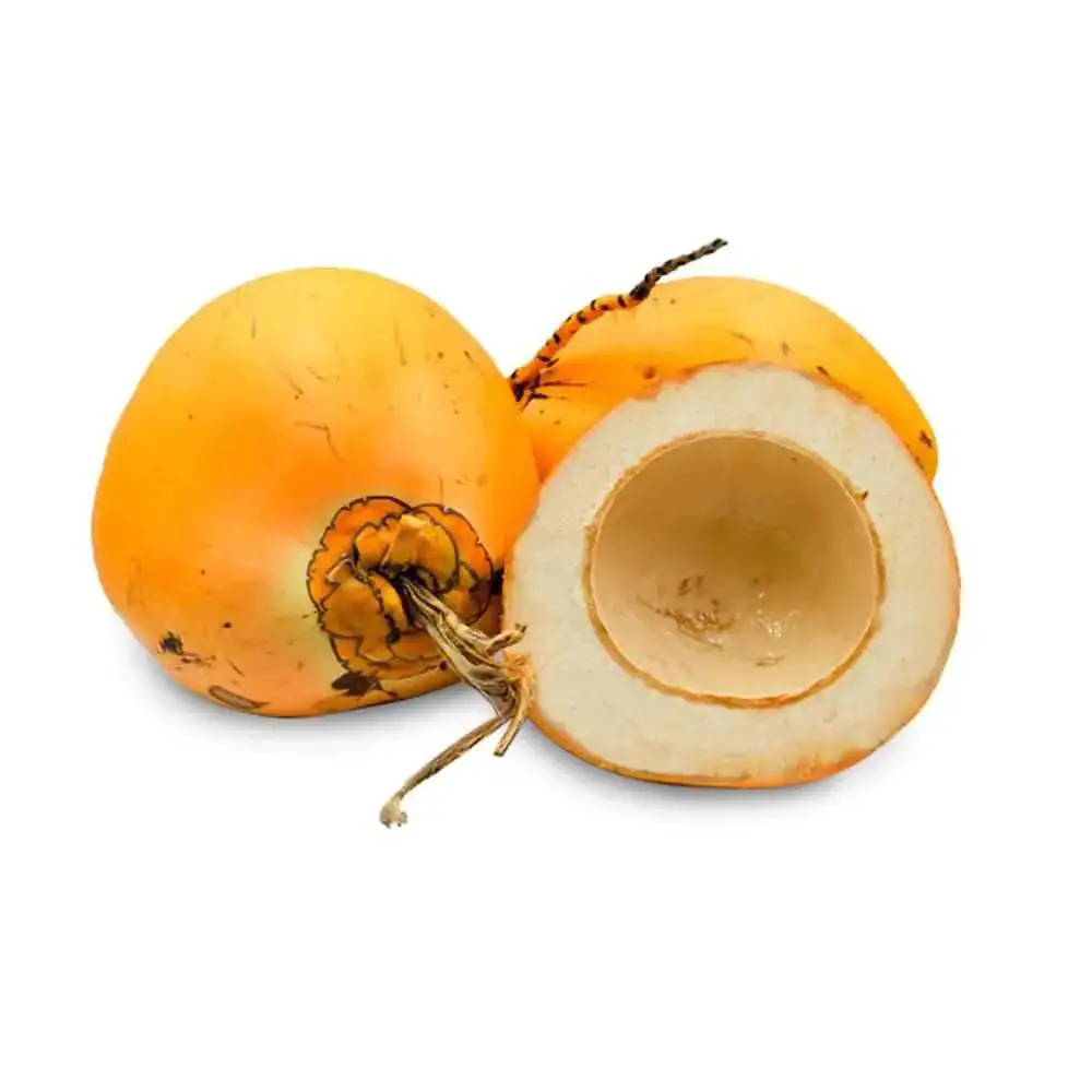 KING COCONUT Kokosnuss aus Asien, ca. 1,2kg, frische tropische Frucht.