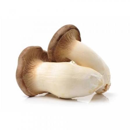 Frische KING Oyster Pilze für asiatische Gerichte, Online-Shop.