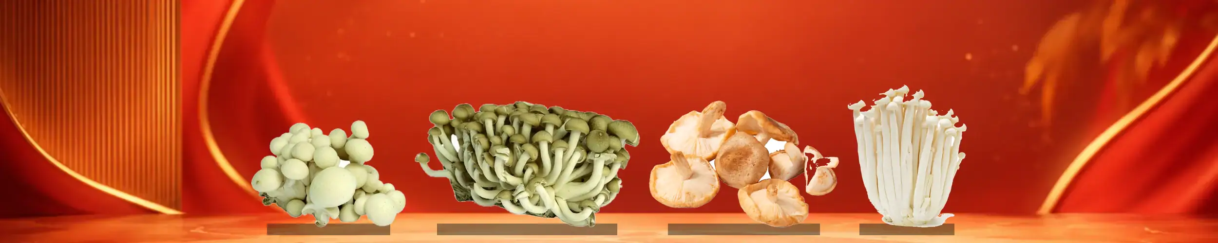 Frische asiatische Pilze und Gemüse für Ihren Online-Shop.