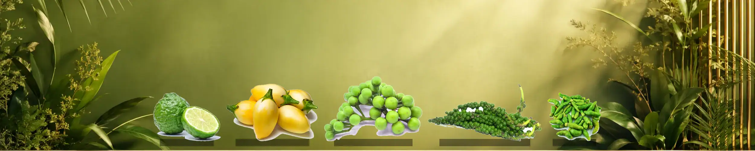 Frische asiatische Gemüse und Früchte im Online-Shop.