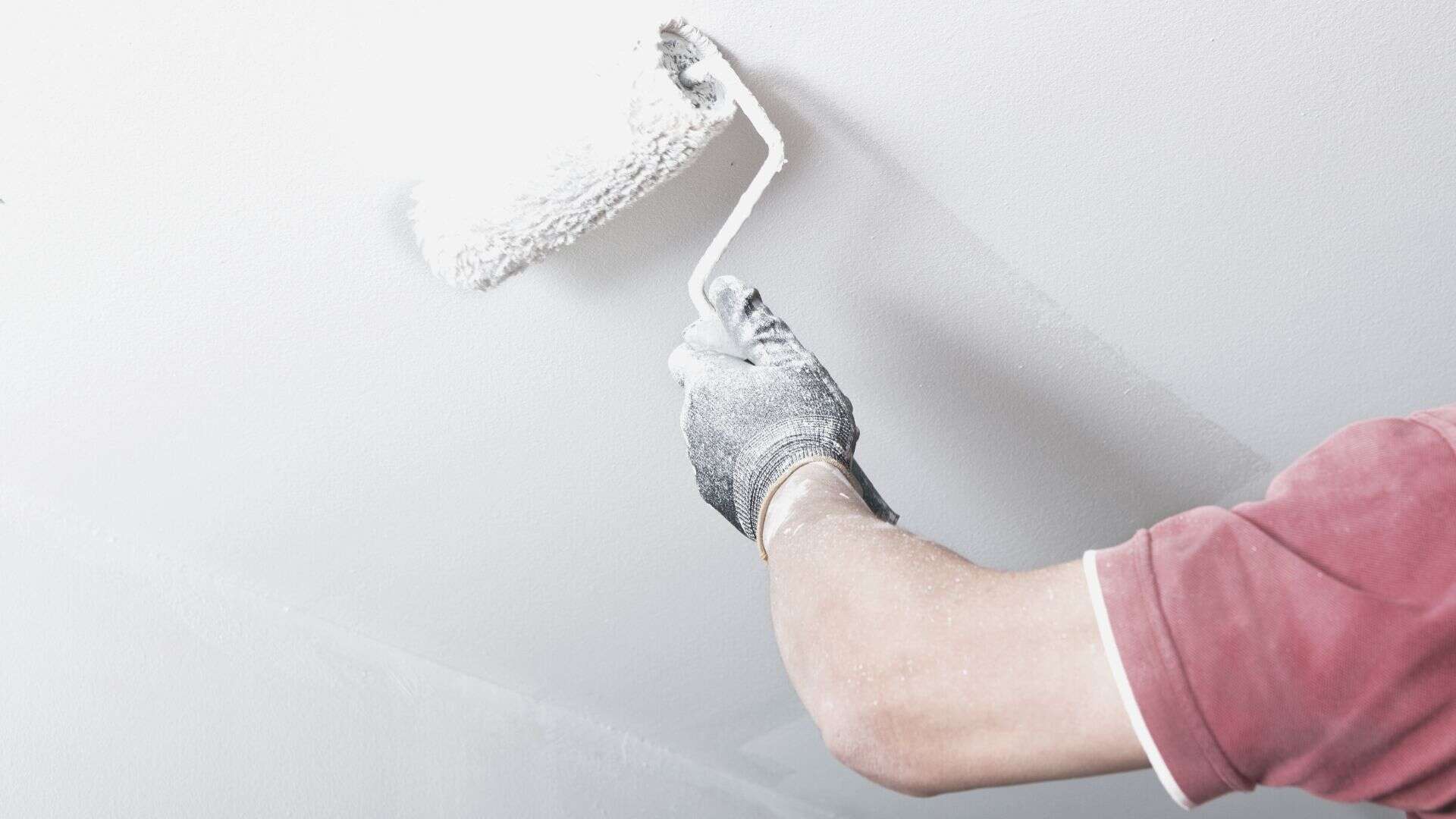 House Painter Insurance: Online Quote