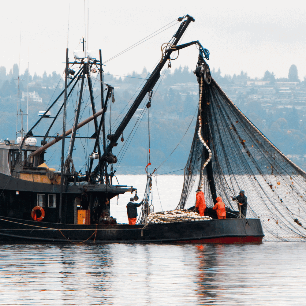 Assurance bateau de pêche au Québec — protection complète 2026