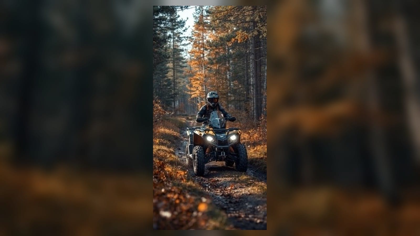 Quad Can-Am Outlander sur sentier forestier québécois en automne