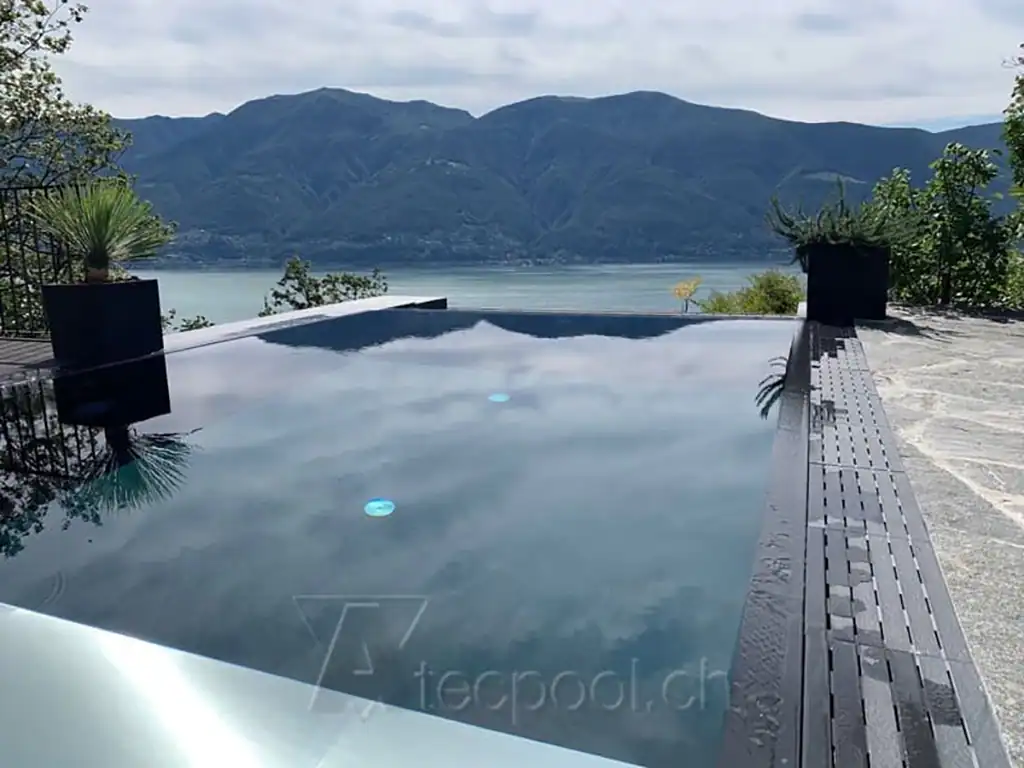 Relaxing infinity pool with panoramic lake and mountain views, outdoor setting, modern design.