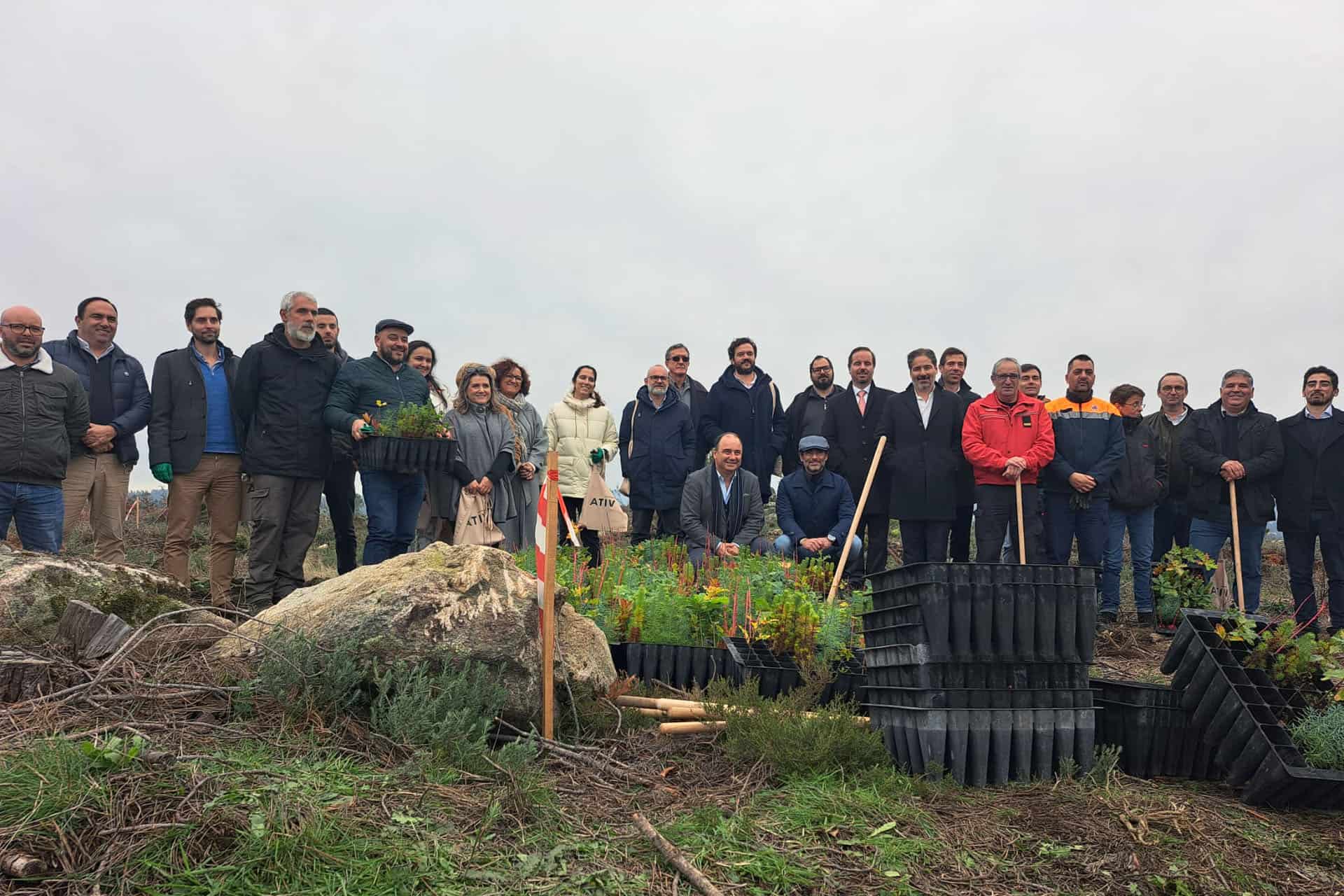 Projeto de Reflorestação de uma área degradada no Centro de Portugal