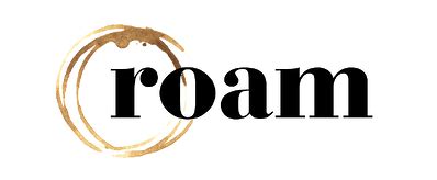 Atlanta Balloon Designer Home Starlink Roam