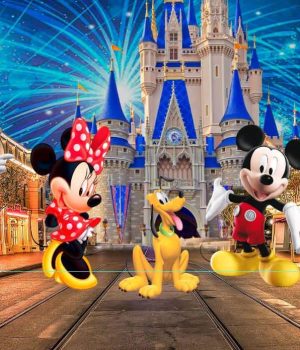 Party Backdrop Rentals Backdrop covers