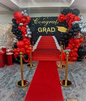 Party Backdrop Rentals Custom backrops
