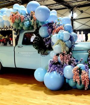 Party Backdrop Rentals Custom backrops