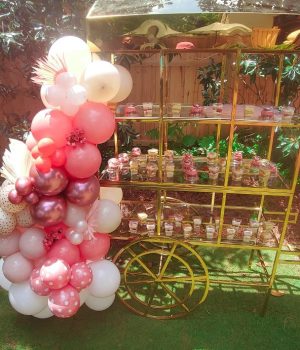 Party Backdrop Rentals Treat cart