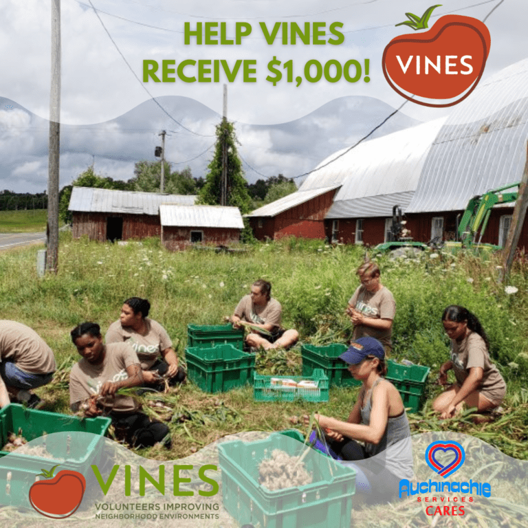 Amidst the lush fields, people are harvesting plants near a red barn, filling green crates. The text reads "Help VINES receive $1,000!" with logos for VINES and Auchinachie Cares. Learn more about us and our mission to cultivate community growth.