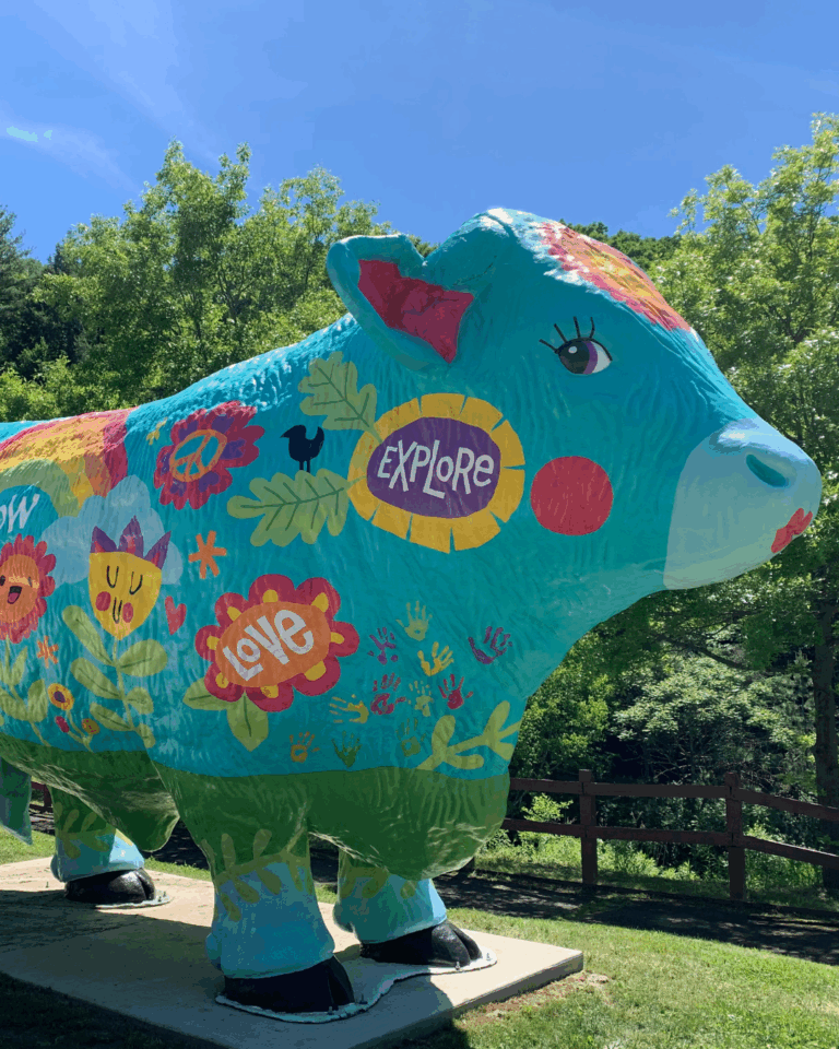 A large blue cow statue painted with colorful flowers, hearts, and words like "explore," "love," and "Auchinachie Cares," standing outdoors on a sunny day.