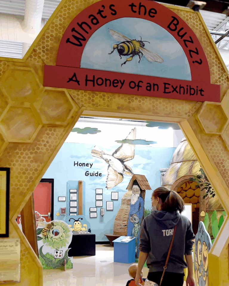 A woman and child enter a honeybee-themed exhibit titled "What's the Buzz? A Honey of an Exhibit," featuring bee and hive decorations, where Auchinachie Cares supports community learning experiences.