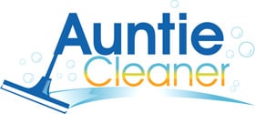 Auntie Cleaner (Singapore) 