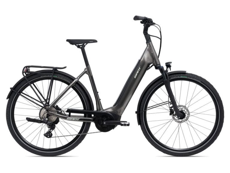 Giant DailyTour E+2 D