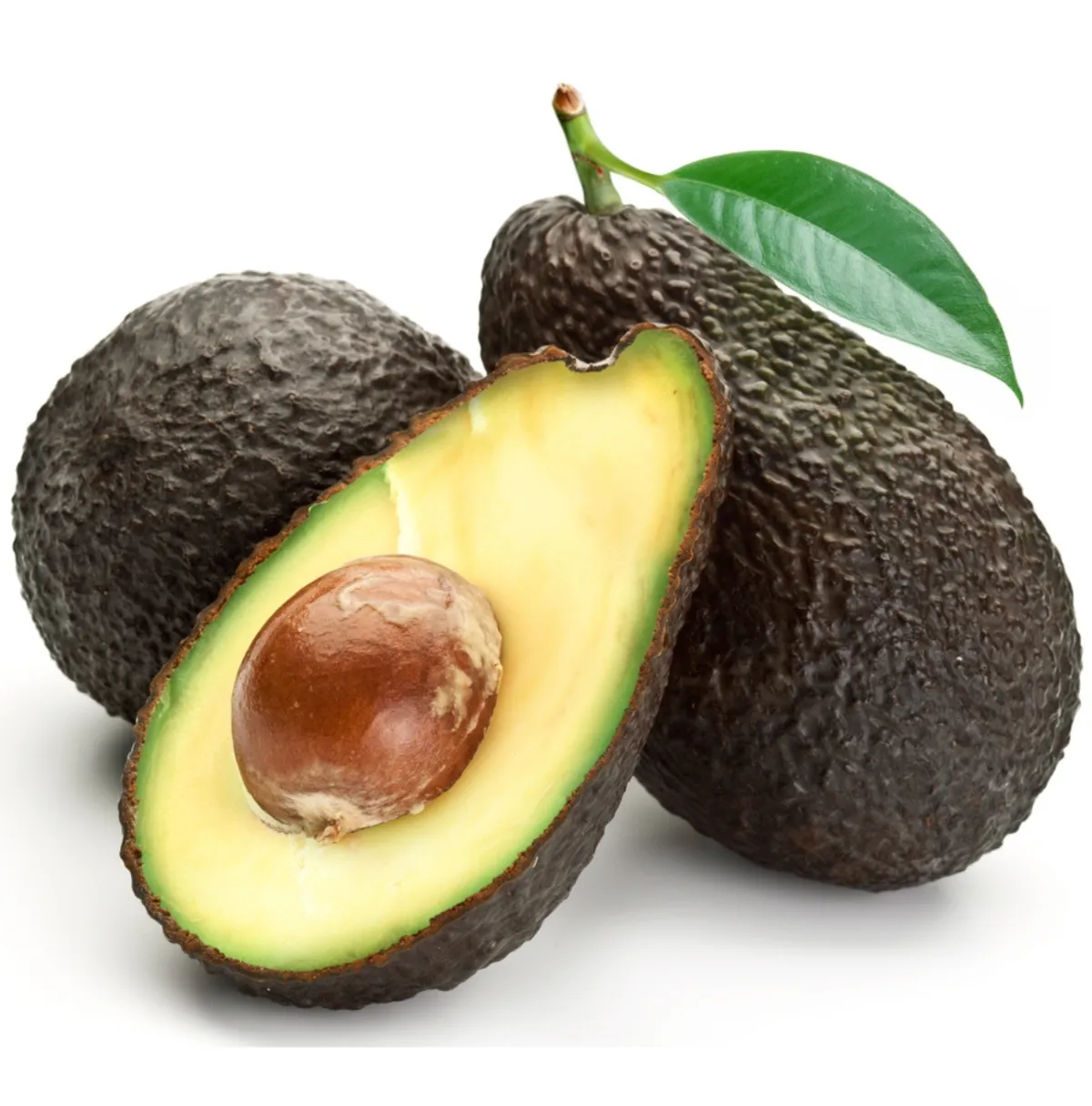 Reife Bio Avocado mit Kern – Quelle für hochwertiges, kaltgepresstes Avocadoöl