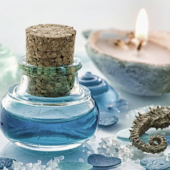 Bio Shea + Öl Deiner Wahl