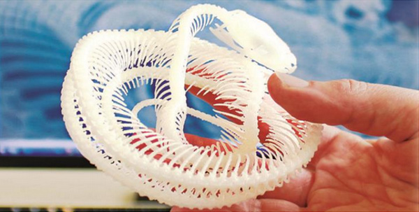 3D print made from a micro-CT scan