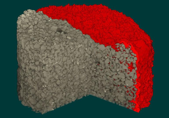 Time-lapse 4D micro-CT