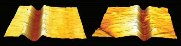 AFM images of scratches