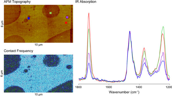 AFM-IR on polymer blends