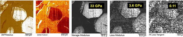 AFM Modulus Mapping