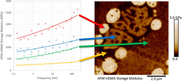 AFM-nDMA storage modulus map