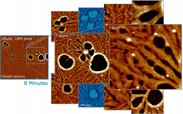 AFM image of Polymer Film