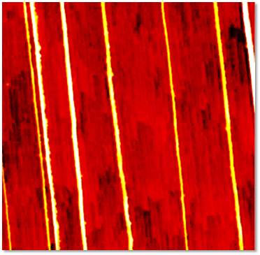 AFM Probe for Soft Materials