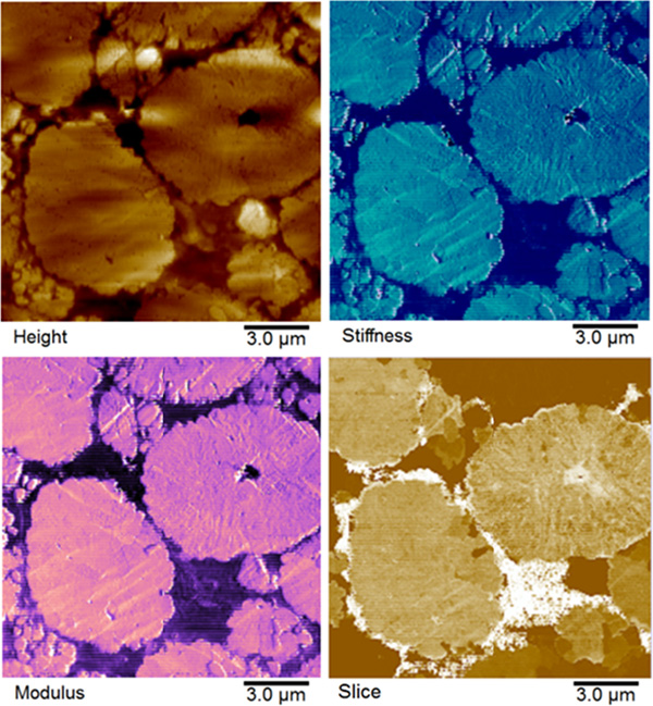 Battery measured with SSRM (AFM)