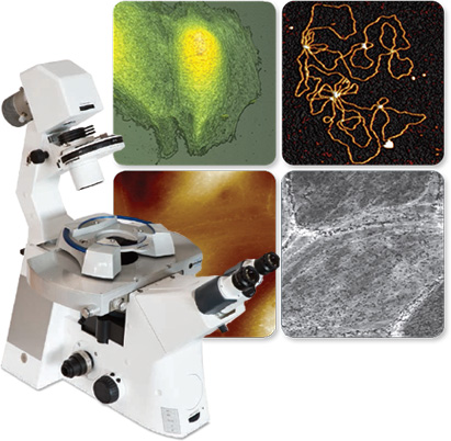 Bruker BioScope Resolve biological AFM