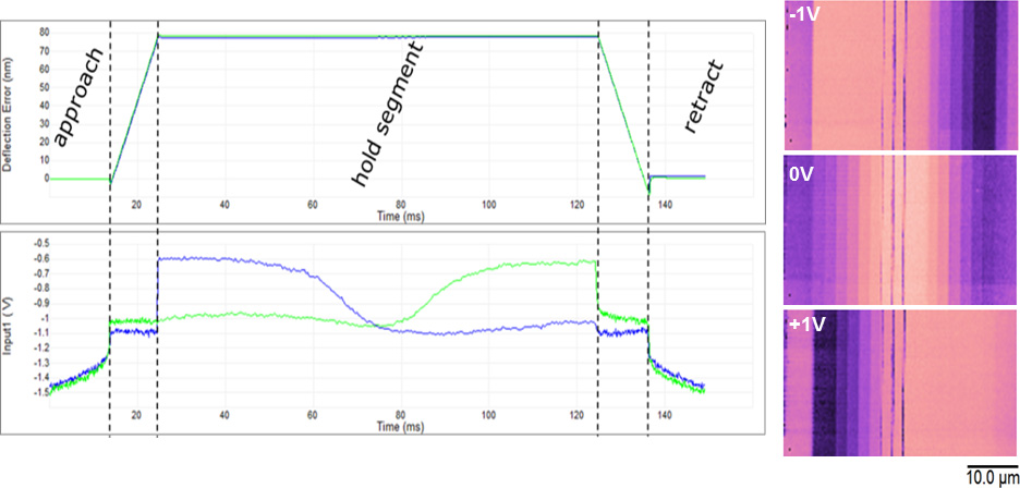 Bruker DataCube-SMIM