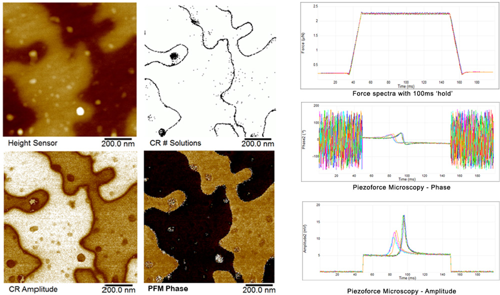 Bruker DataCube CR PFM