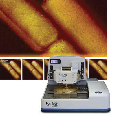 Bruker Dimension FastScan Bio AFM