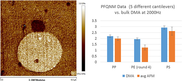 Bruker PeakForce QNM