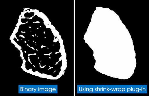 Bruker Shrink-Wrap Micro-CT Plug-in