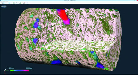 Carbonate structure internal micro-CT image