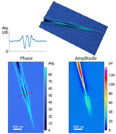 Graphene plasmons
