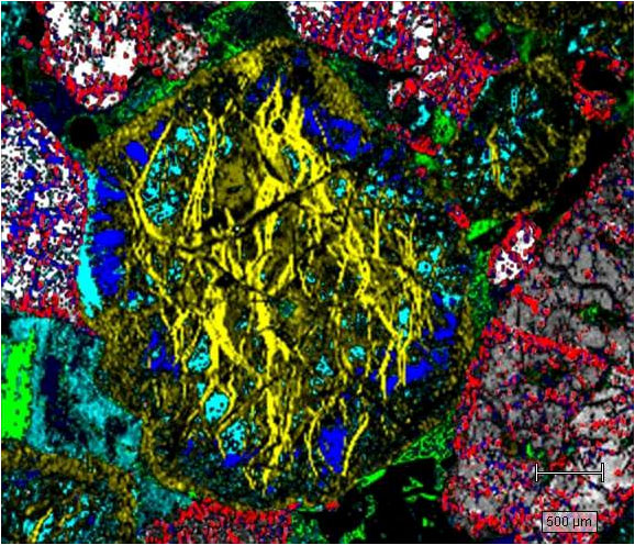 Raman image of igneous rock