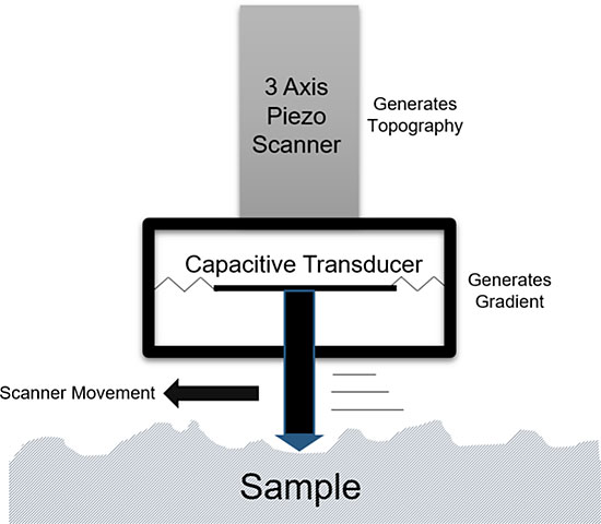 How In Situ SPM Works
