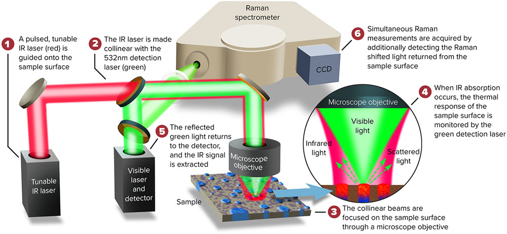 Simultaneous Infrared & Raman