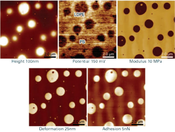  Kelvin Probe Force Microscopy